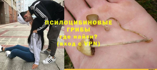 spice Армянск
