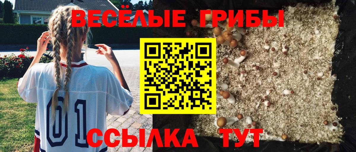Черняховск  Псилоцибиновые грибы Magic Shrooms  Вход с VPN 
