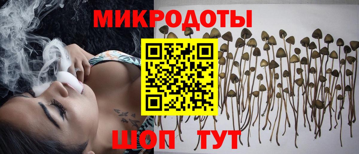 Галлюциногенные грибы MAGIC MUSHROOMS Черняховск